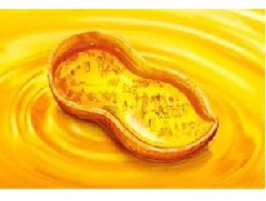 江門花生油為什么會起沫