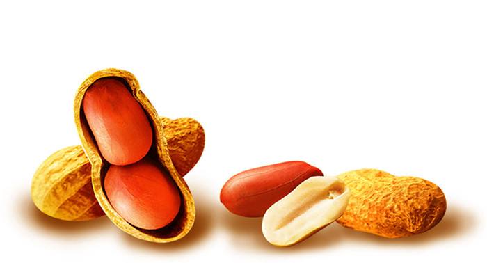 江門(mén)花生油 江門(mén)花生油